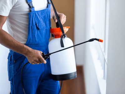 About Expert termite control - bed bug removal experts in New York City